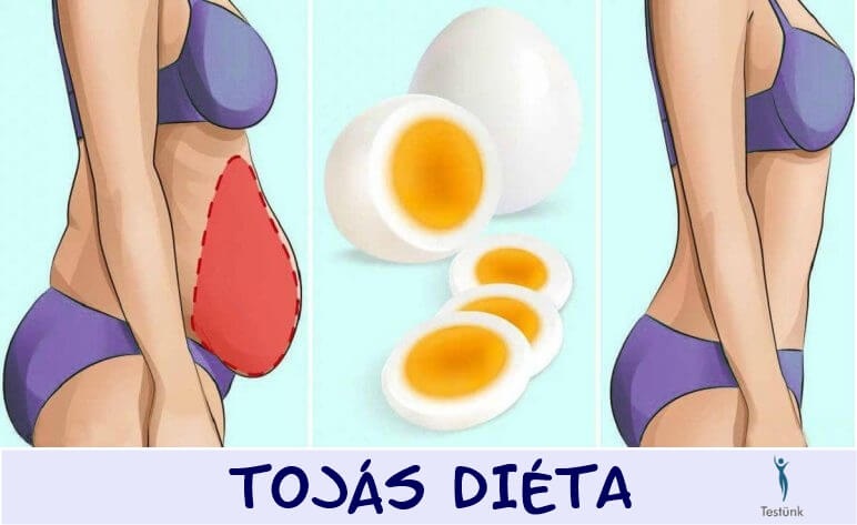 diéta alatt lehet tojást enni okos étrend minta